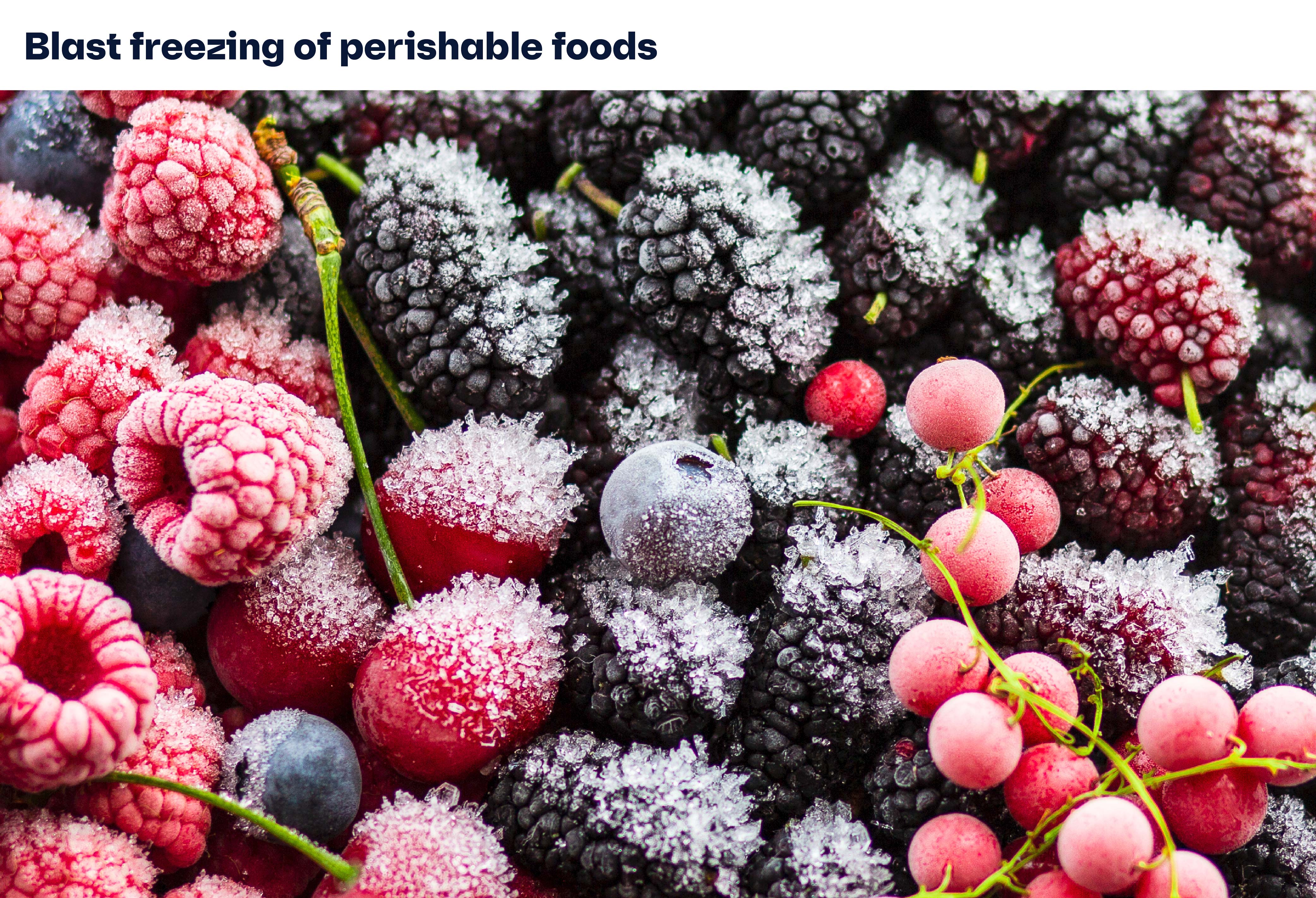 Blast freezing of perishable foods