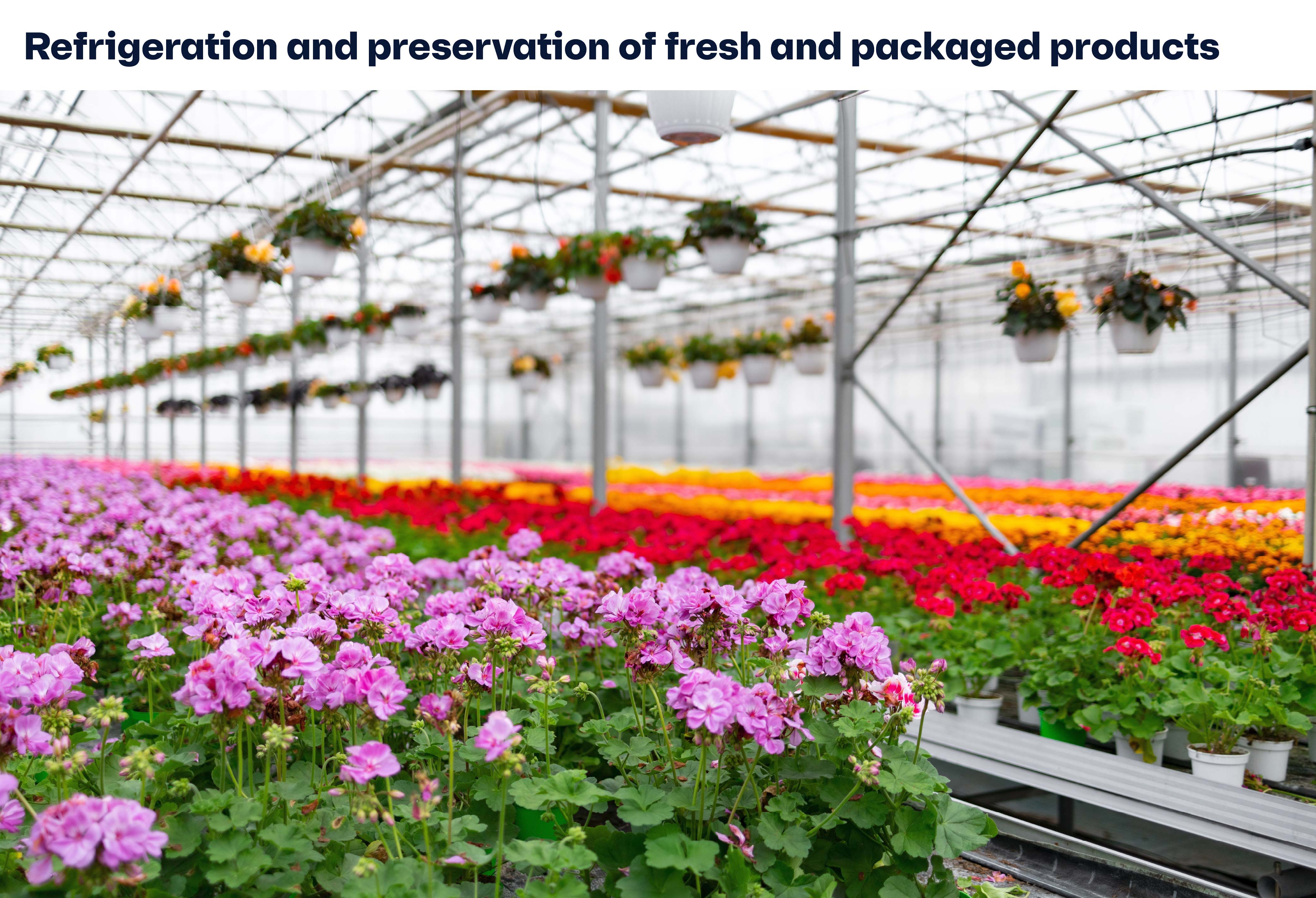Refrigeration and preservation of fresh and packaged products