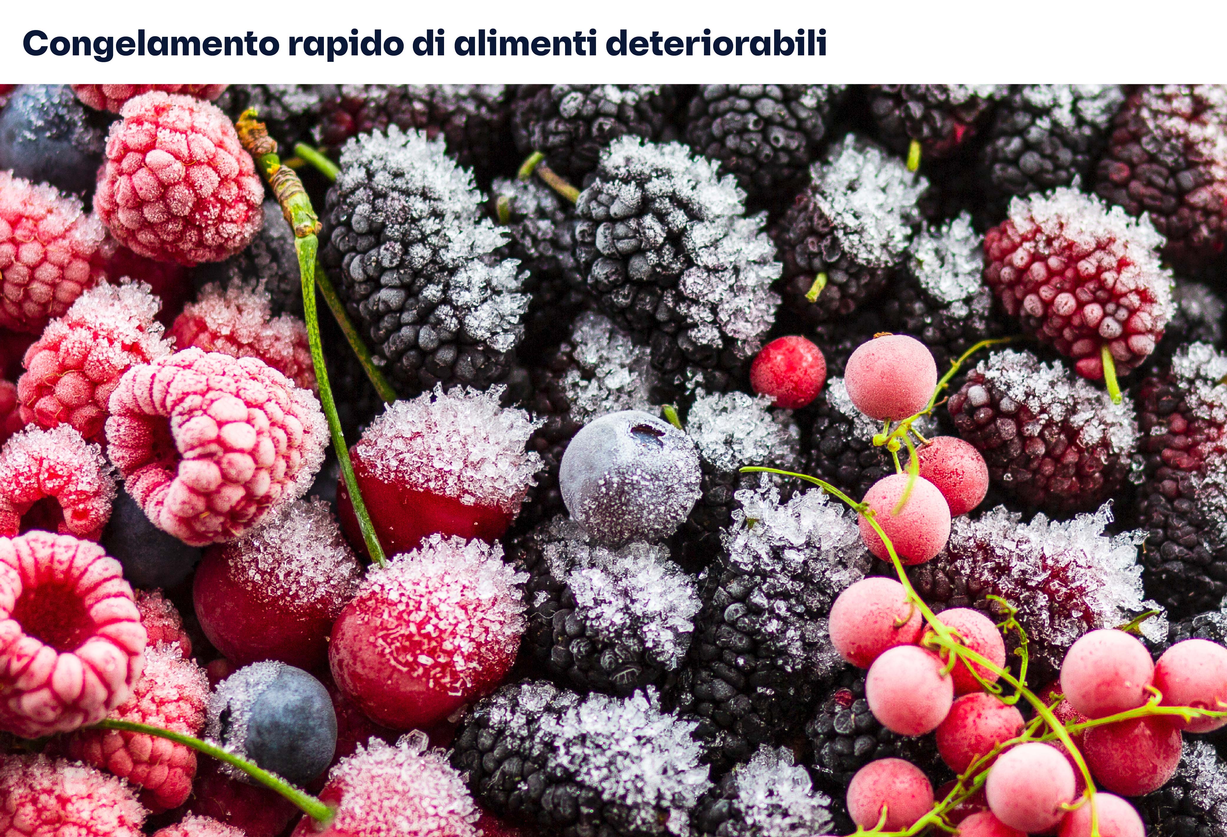 Apparecchi ventilati - Refrigerazione industriale