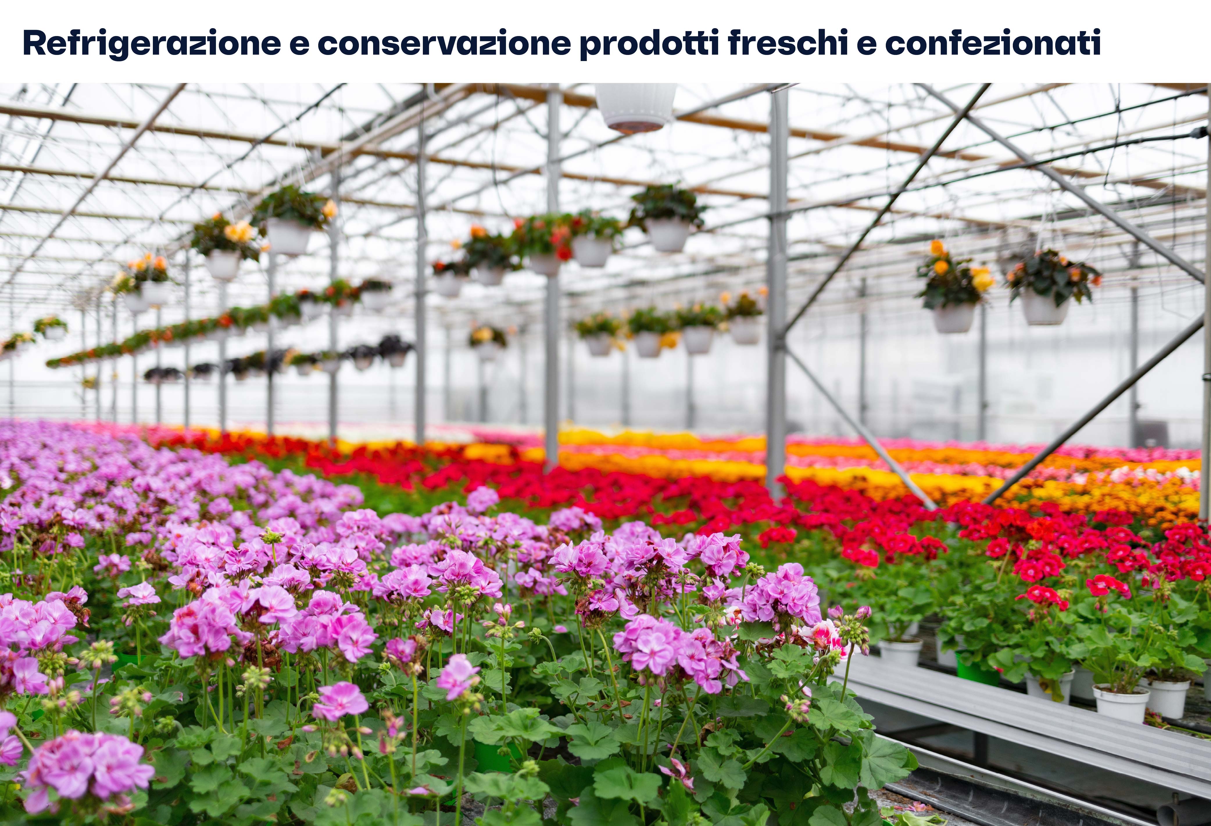 Apparecchi ventilati - Refrigerazione commerciale